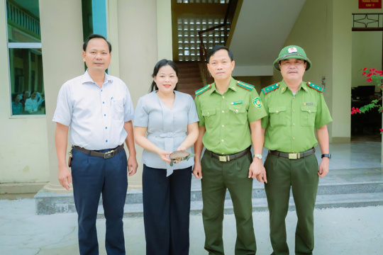 Bàn giao cá thể rùa quý hiếm để tái thả về tự nhiên