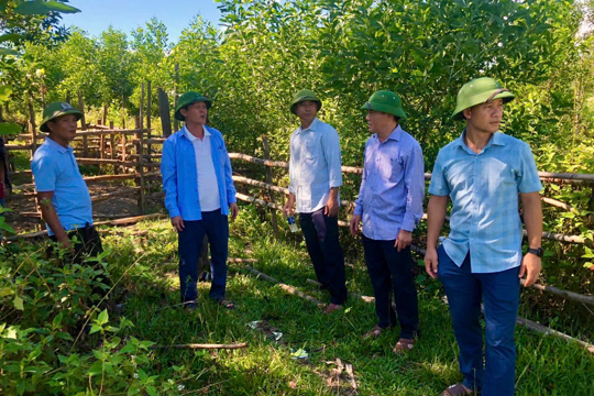 Tập trung cao thực hiện rà soát, xử lý liên quan đến thu hồi đất của Công ty TNHH MTV Cao su Hà Tĩnh trên địa bàn xã Kỳ Hoa.