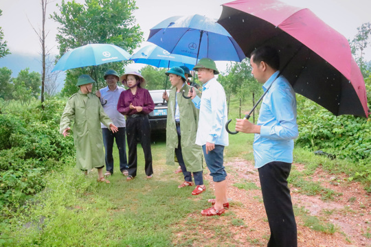 Đồng chí Bí thư Đảng ủy xã kiểm tra, chỉ đạo ứng phó mưa lớn do ảnh hưởng áp thấp nhiệt đới trên địa bàn xã Kỳ Hoa 